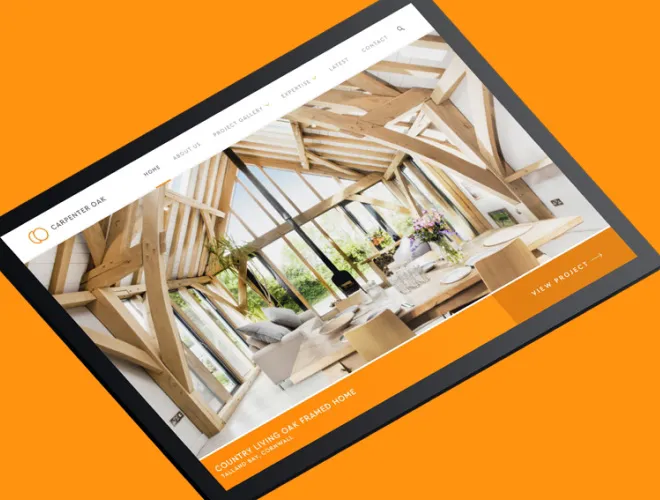 Single desktop website screen showcasing a home page
